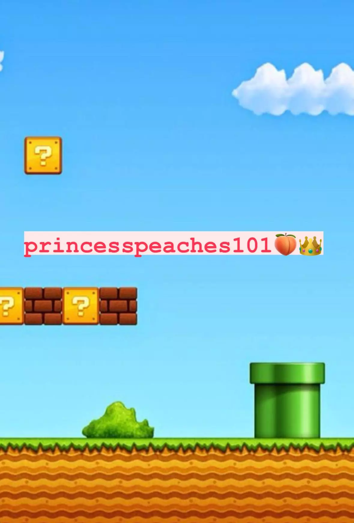 princesspeaches101 profile